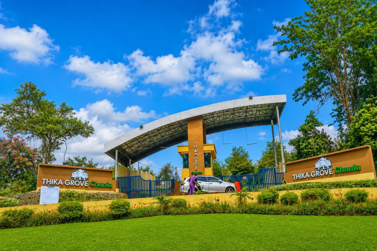 Thika Grove, Chania